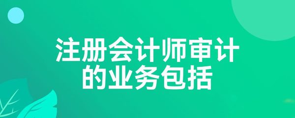注册会计师审计业务概述 审查企业会计报表