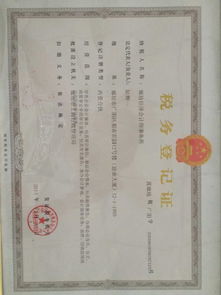 廊坊佳泽会计师事务所 企业会计报表审查的严谨性与专业性解析